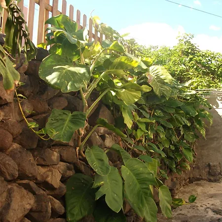 Llano Campo Country house Hermigua