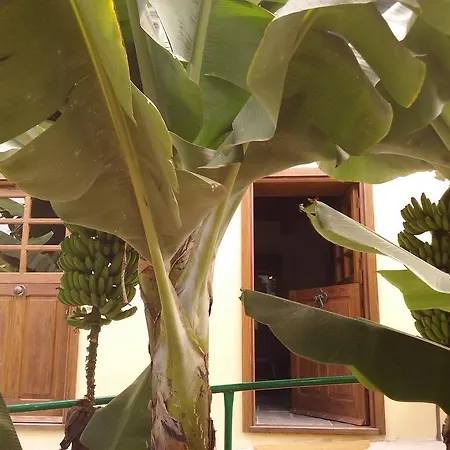 Llano Campo Country house Hermigua