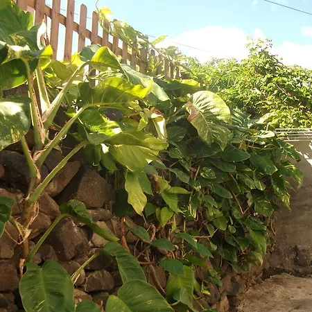 Llano Campo