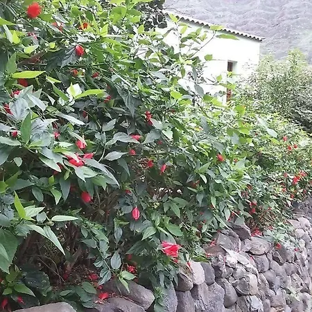 Llano Campo Country house Hermigua