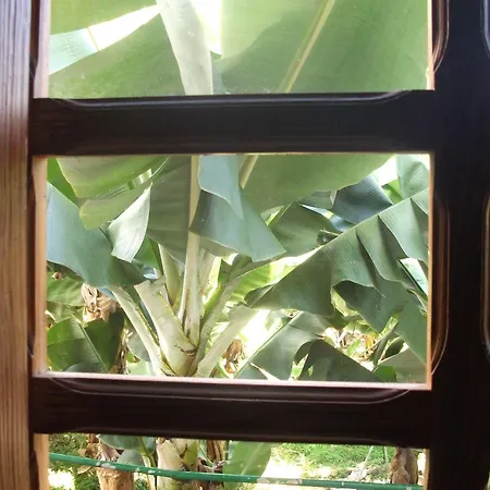 Llano Campo Country house Hermigua